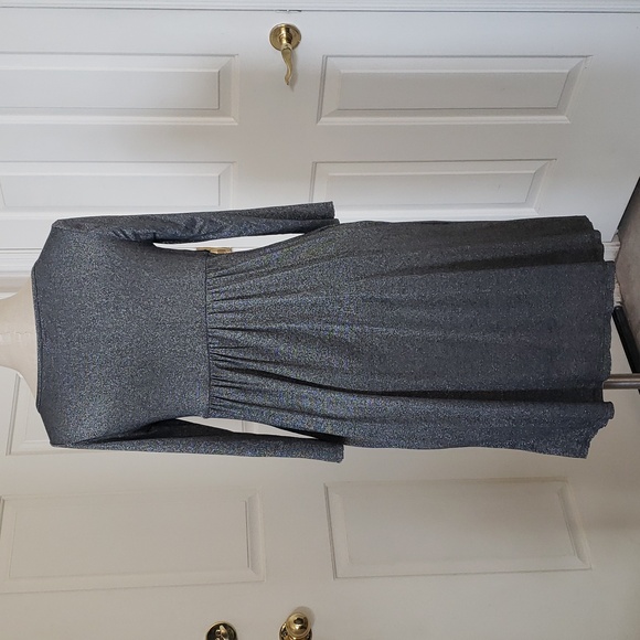 MICHAEL STARS Gray Silver Draped Neck Shimmer Dress Empire Waist - Picture 5 of 11